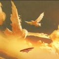BUXEDO - Plumes