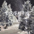 Suyune - 有人说风轻的像雨