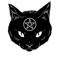 SebaLazi - Cat