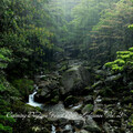 Forest Rain FX、Breastfeeding Music、Binaural Beats Brainwave Entrainment - Breathing Clouds for Relaxation