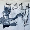Joseph Arthur - Avenue of Control