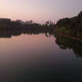 苏月白 - 阿刁