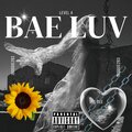 JBoogie283 - Bae Luv (Explicit)