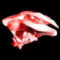 glykeria - Rupture