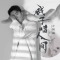 小阿枫 - 戏子唱人间