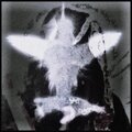 SERAPHIM - U COULD NEVER (Explicit)