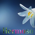 Hermoso