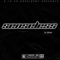 Senseless Freestyle (Explicit)