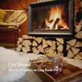 Spa Music Station、Nature Lab、Instant Relax - Burning Fire Effects