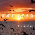 吉米和大鹅JimmyTheGo0se - 我看了56次日落