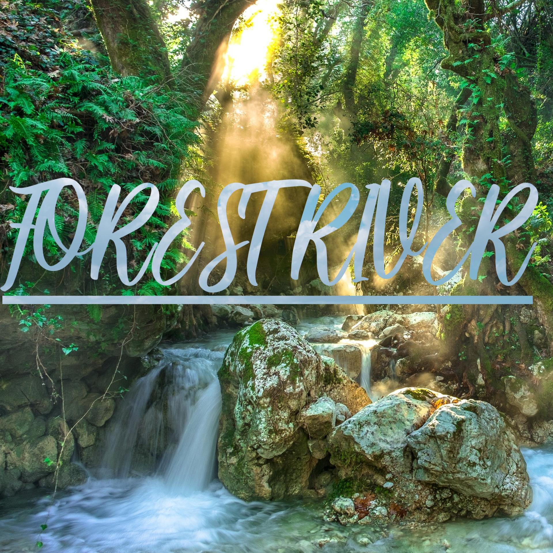 Hector beautiful sounds - Forest River