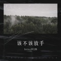 洛昇 - 该不该放手