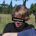 Robson - pâquerette