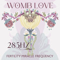 Womb Love: 285Hz Fertility Frequency Miracle Meditation, 285Hz Reproductive System Healing, Get Pregnant Easly, Conceive A Baby