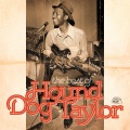 hound dog taylor - Give Me Back My Wig