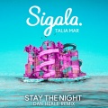 Dan Heale、Sigala、Talia Mar - Stay The Night (Dan Heale Remix)