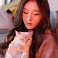 会听歌的猫 - 熟悉的城市陌生的你