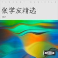 文少 - 我等到花儿也谢了