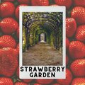 Strawberry Garden