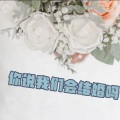 你说我们会结婚吗