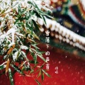 信晗 - 雪落下的声音