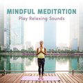 Mindful Meditation (Play Relaxing Sounds, 15 Sounds to Wellbeing, Daily Calm Meditation)