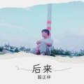 殷正林 - 后来 (Live)