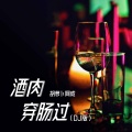 酒肉穿肠过 (DJ版)