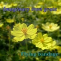Flying bandage - 変換