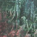 Torc、Insolate - Aquarius Tendencies