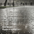 Rain Sound: Rhythm of Rainfall Vol. 1
