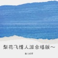 敏儿好学 - 梨花飞情人泪