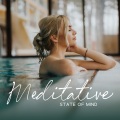 Mindfulness Meditation Music Spa Maestro - Comfort Zone