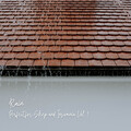 Rain: Perfect for Sleep and Insomnia Vol. 1