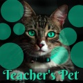 Forest Vibe、Remixer Songs - Teacher's Pet (Remix)
