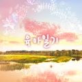 육아일기 - 우리들이 함께한 순간