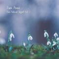 Rain Music: Natural Skyfall Vol. 1