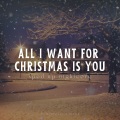 Xanemusic、NVBR - All I Want for Christmas Is You