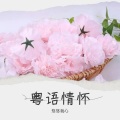 悠悠我心 - 月半小夜曲