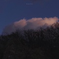 苏妲己 - 最爱
