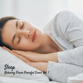Sleeping Music For Dogs、Classical Piano Playlist、Rain for Deep Sleeping - Exquisite Piano Vibes