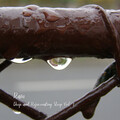 Rain: Deep and Rejuvenating Sleep Vol. 1