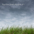 Perfect Rain Sound to Sleep Better Vol. 2
