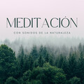 Meditación Con Sonidos De La Naturaleza