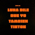 Lipa DJ - Luna Dile Que Yo También TikTok (Remix)