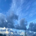 晴屿 - 生气