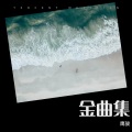 鹰雄 - 荷塘月色