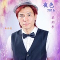 夜色2016 (国语版)