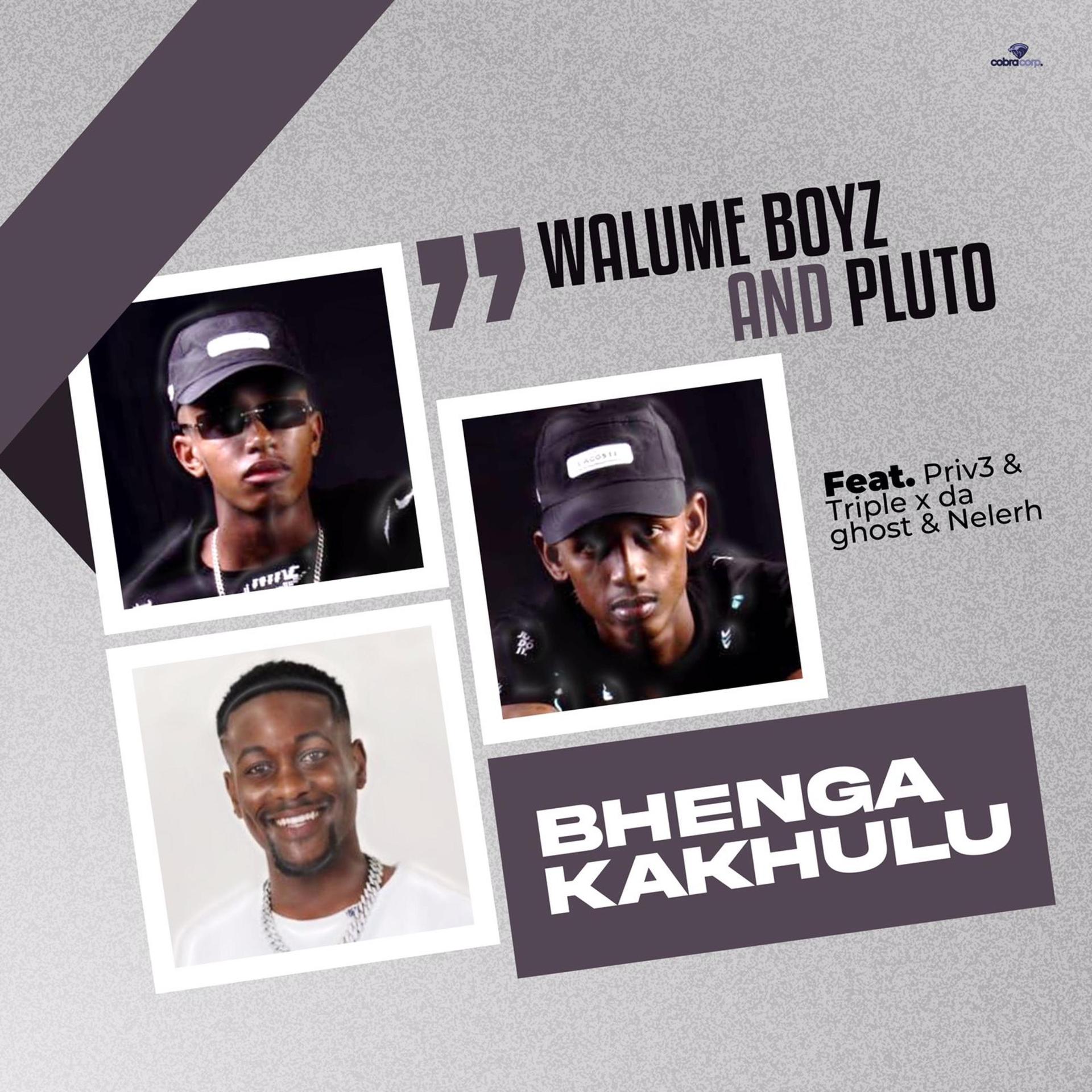 P L U T O、PRVIS3、Triple X Da Ghost、Nelerh、Walume Boys - Bhenga Kakhulu