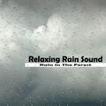 Rain in The Forest